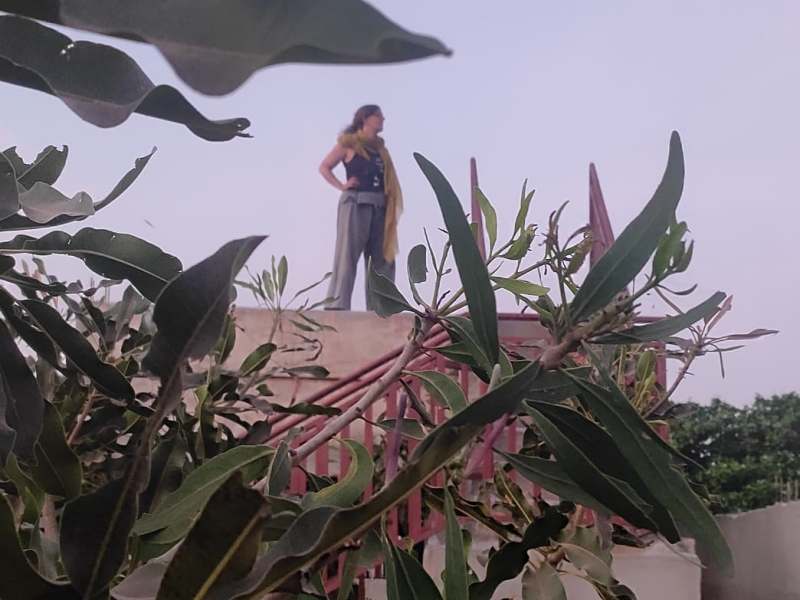 Les 12 nuits de Yule- 29 décembre- Progression